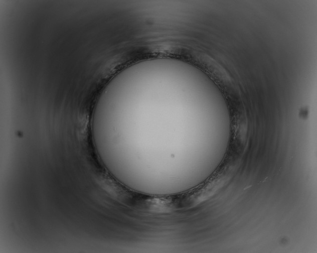 X0000102820660200809021252