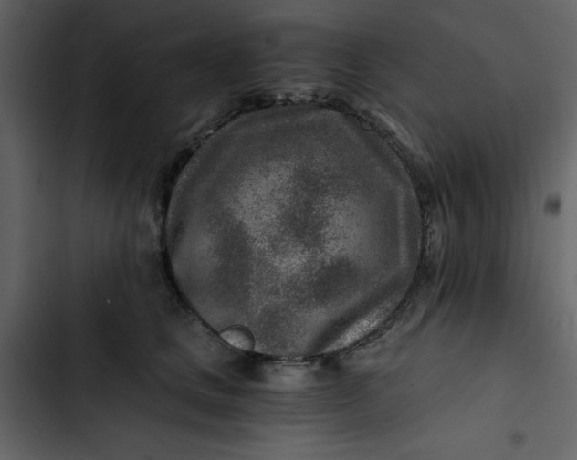 X0000102820661200809021252