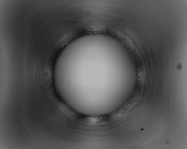 X0000102820662200809021252