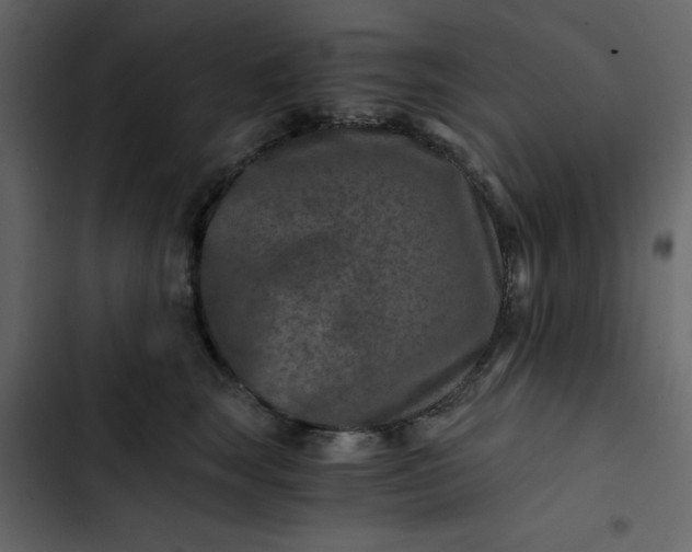 X0000102820663200809021252