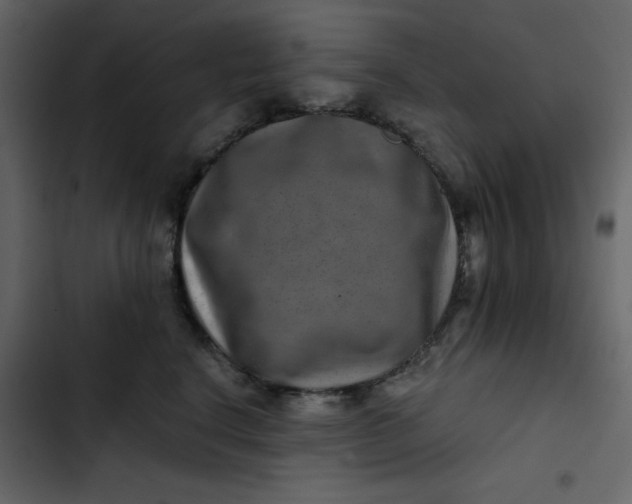 X0000102820664200809021252