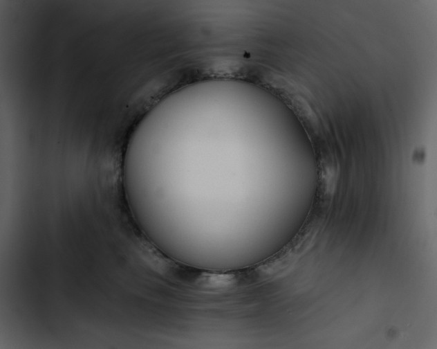 X0000102820665200809021252