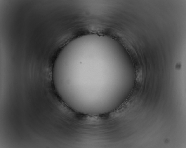 X0000102820666200809021252