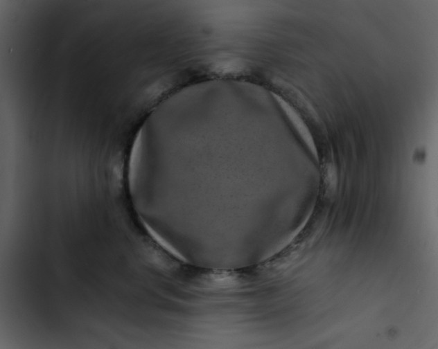 X0000102820668200809021252