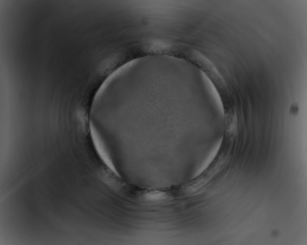 X0000102820669200809021252