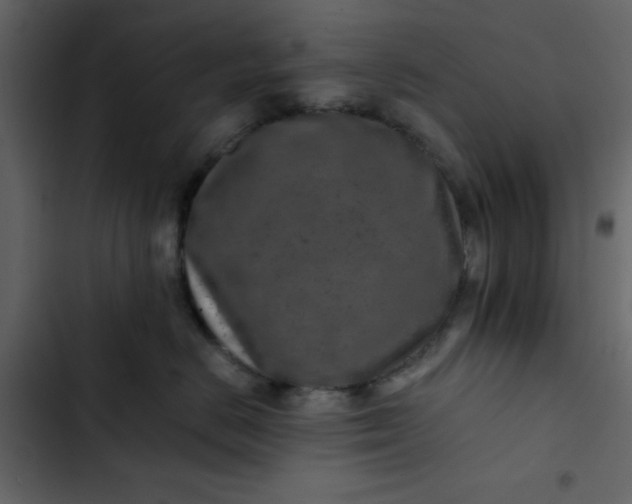 X0000102820670200809021252