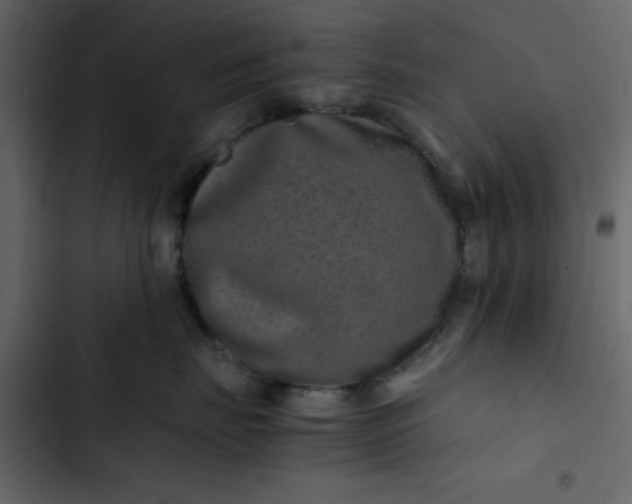 X0000102820671200809021252