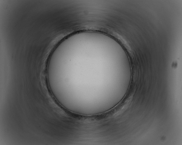 X0000102820673200809021251