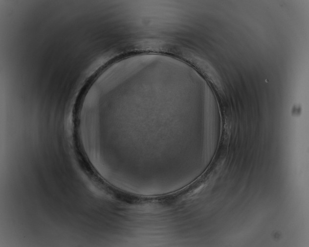 X0000102820674200809021251