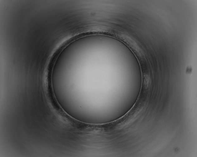 X0000102820676200809021251