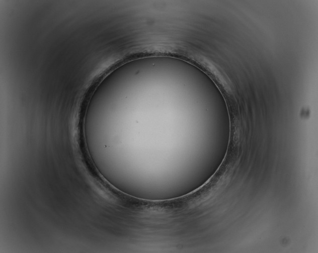 X0000102820677200809021251