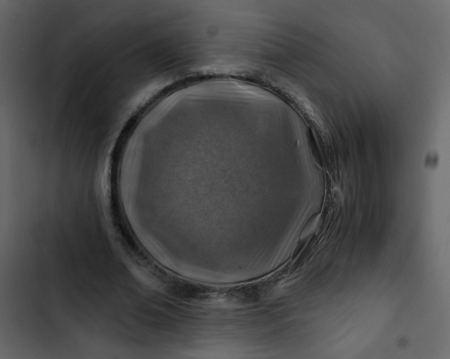 X0000102820678200809021251