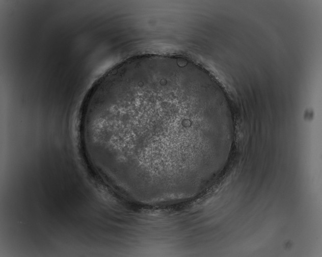 X0000102820679200809021251