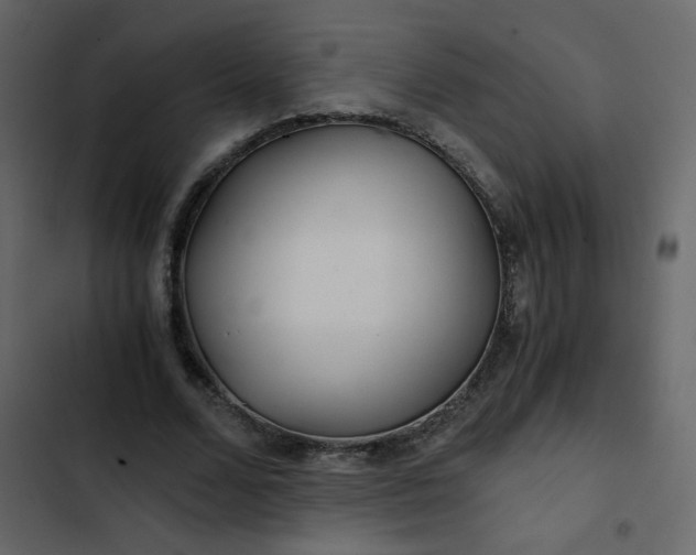 X0000102820680200809021251