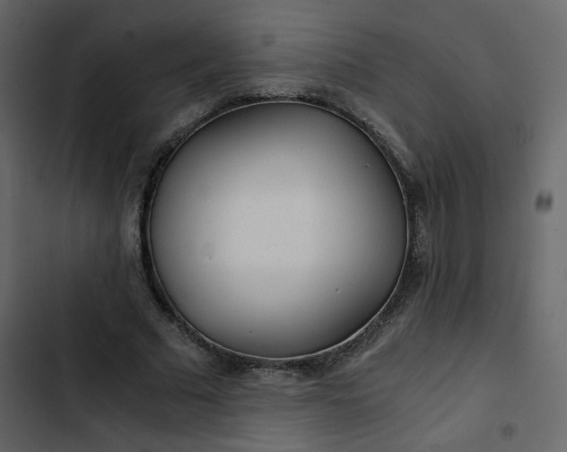 X0000102820681200809021251
