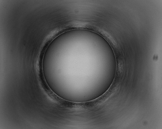 X0000102820682200809021251