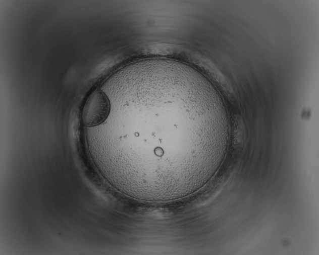 X0000102820683200809021251