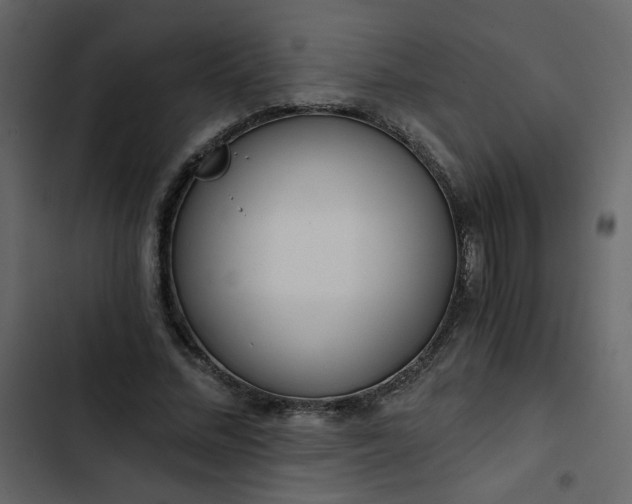 X0000102820684200809021251
