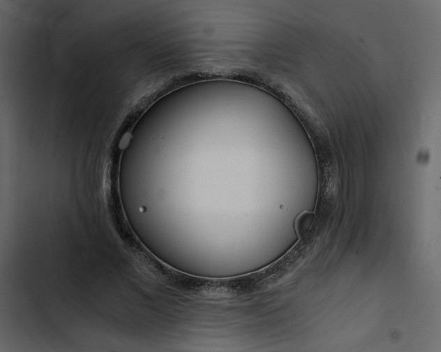 X0000102820685200809021251