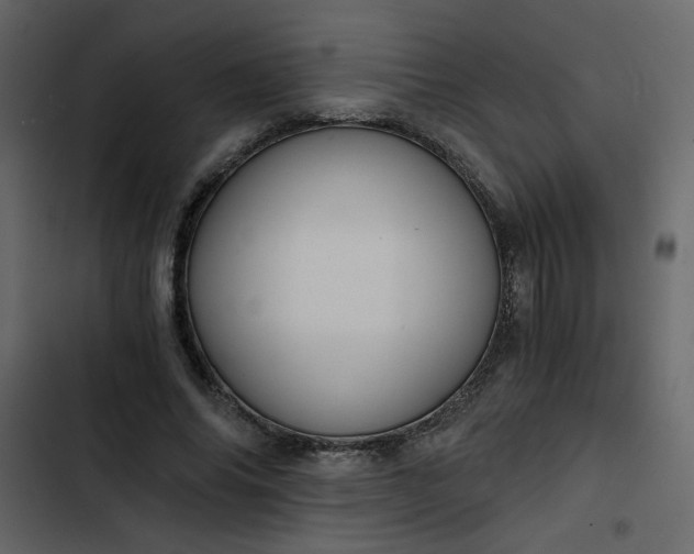 X0000102820686200809021251