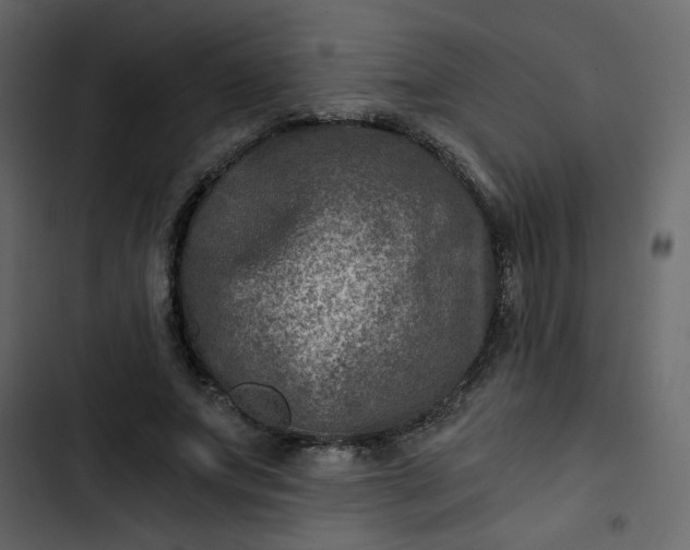 X0000102820687200809021251