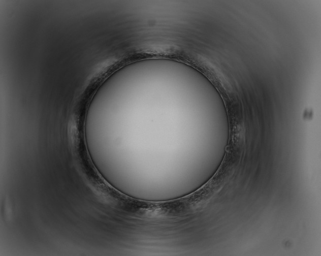 X0000102820688200809021251