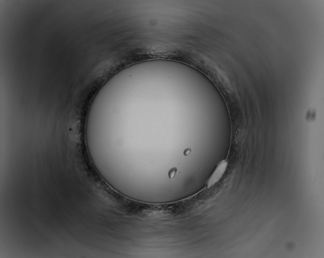 X0000102820689200809021251