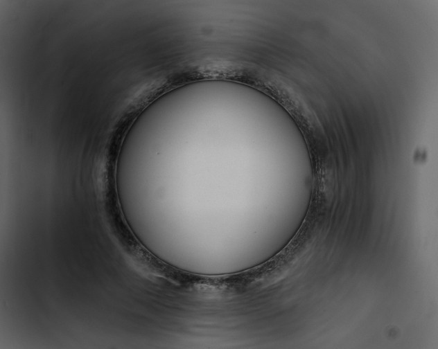 X0000102820690200809021251