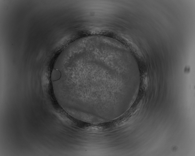 X0000102820691200809021251