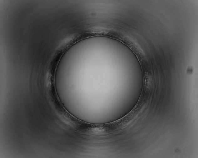 X0000102820692200809021251