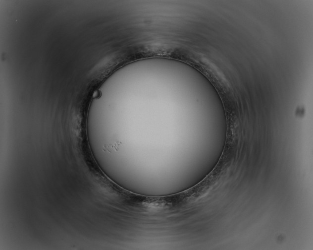 X0000102820693200809021251