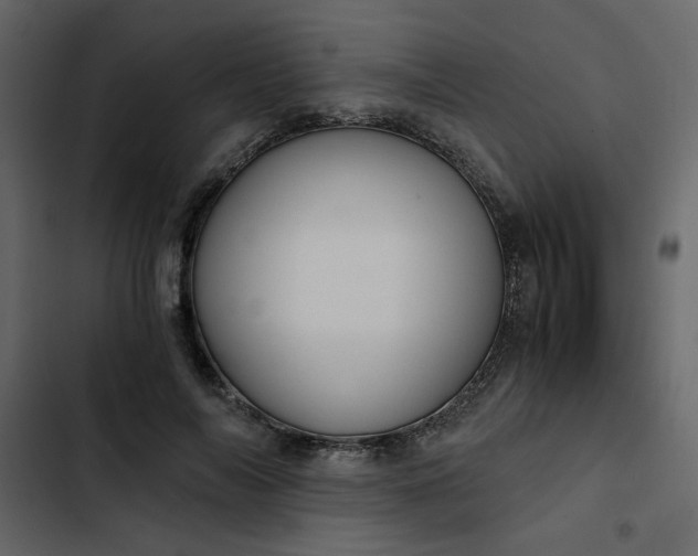 X0000102820694200809021251