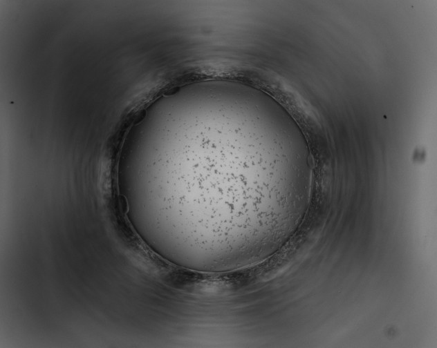 X0000102820696200809021251