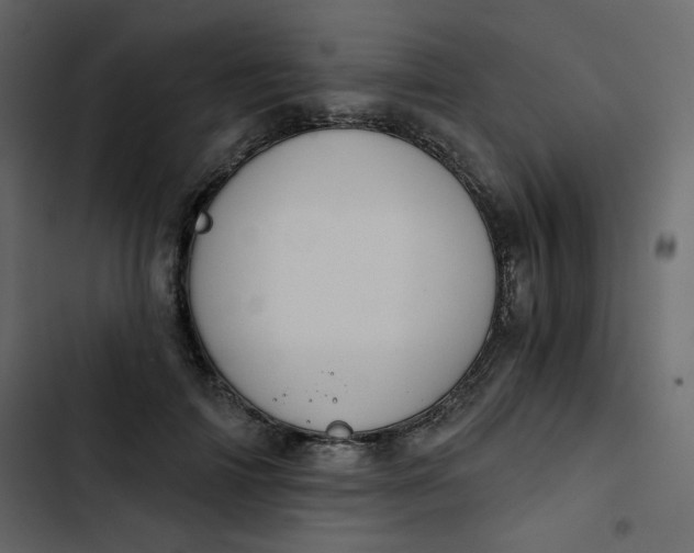 X0000102820698200809021251