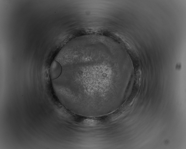X0000102820699200809021251