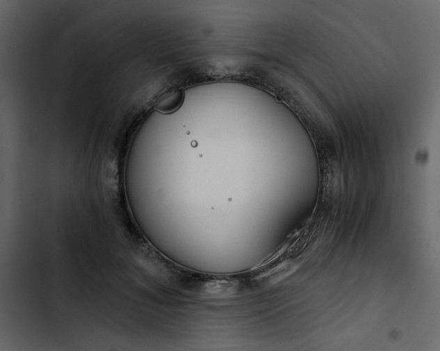 X0000102820700200809021251