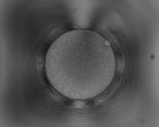 X0000102820701200809021251