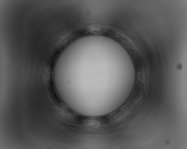 X0000102820702200809021251