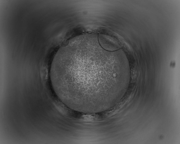 X0000102820703200809021251