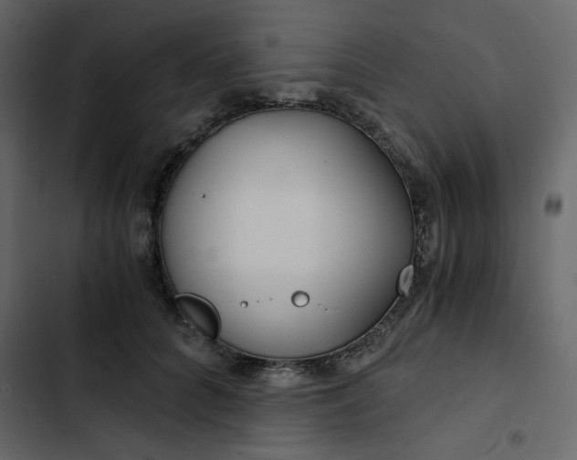X0000102820704200809021251