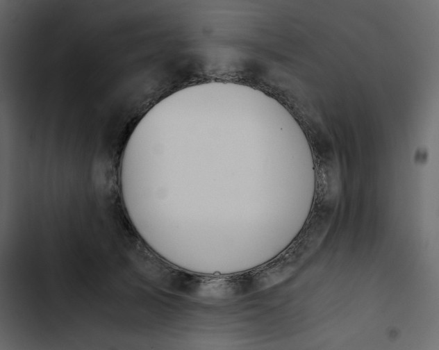 X0000102820705200809021251