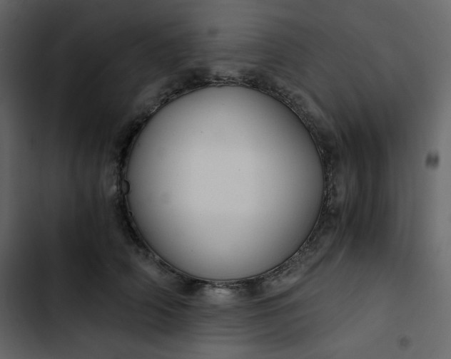 X0000102820706200809021251