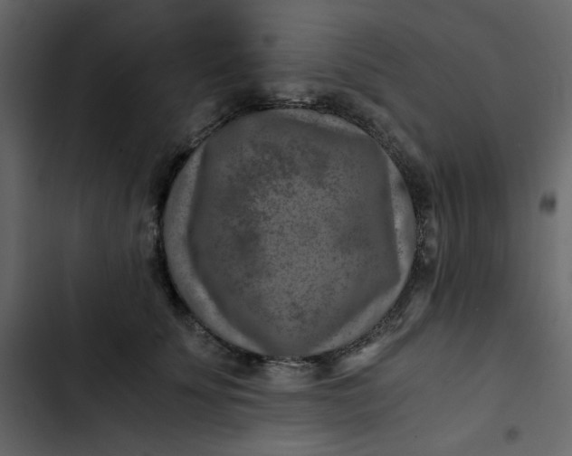 X0000102820707200809021251