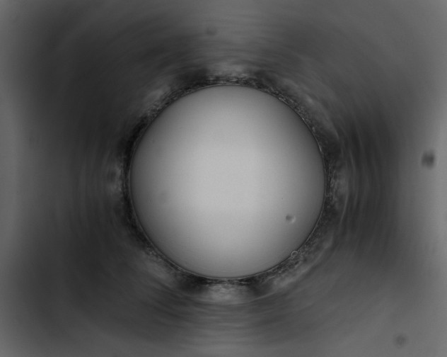 X0000102820708200809021251