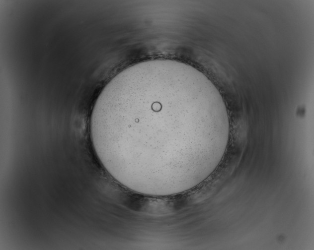 X0000102820709200809021251