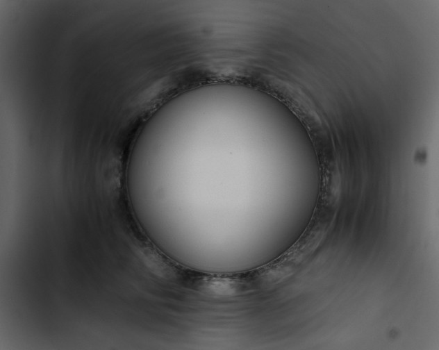 X0000102820710200809021250