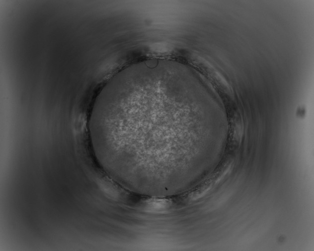 X0000102820711200809021250