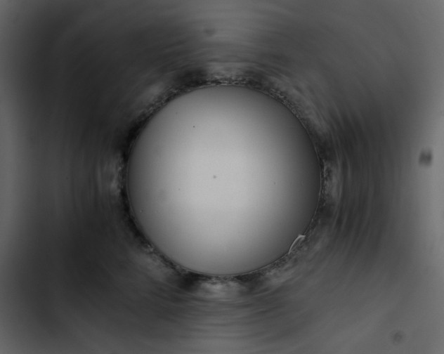 X0000102820712200809021250