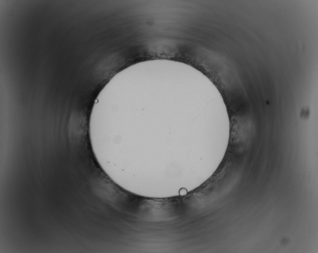 X0000102820713200809021250