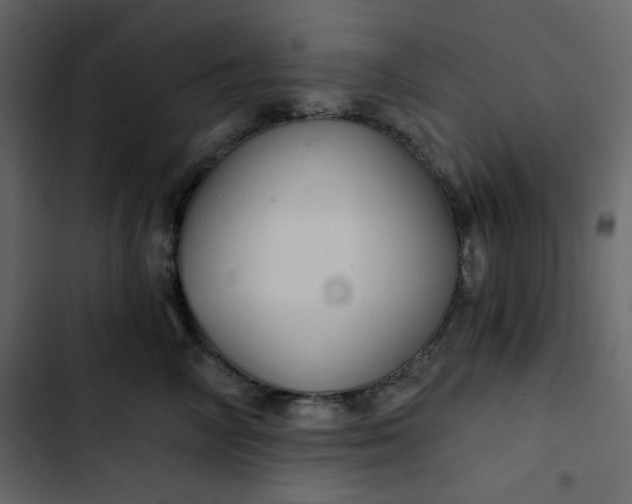 X0000102820714200809021250